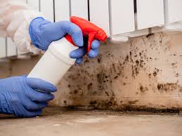 Why You Should Choose Our Mold Remediation Services in Jarrettsville, MD